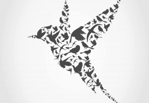 bird
